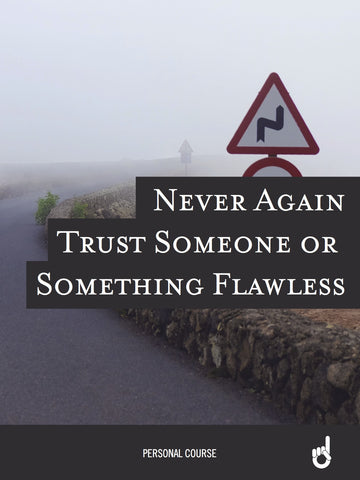 'Never Go Back' Workbook:  Never Again Trust Someone or Something Flawless