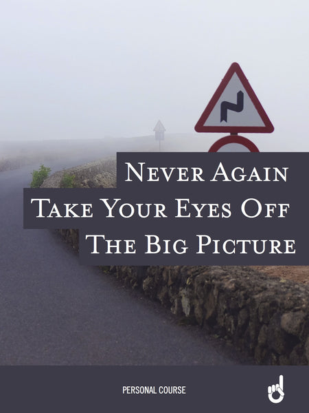 'Never Go Back' Workbook:  Never Again Take Your Eyes Off the Big Picture