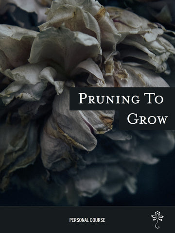 Pruning To Grow